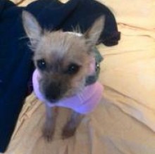 sophieanna's Avatar