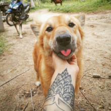 PANDOGA Channel's avatar