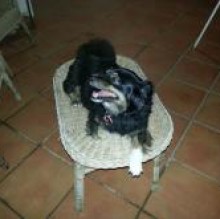 PALLINA MIUCCIO's Avatar