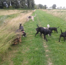 Immagine del profilo di Massimo Toscano