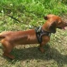 Binky Gatti's avatar