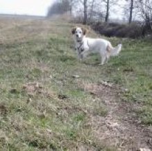 Immagine del profilo di lillylucky