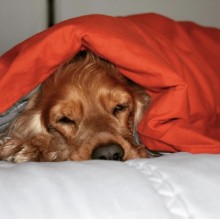 Rossella0403's avatar