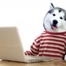 Mozzy's avatar