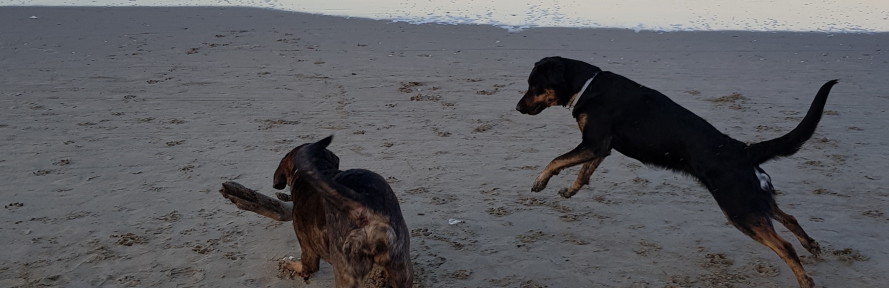 Cover di Mirta Cutuli