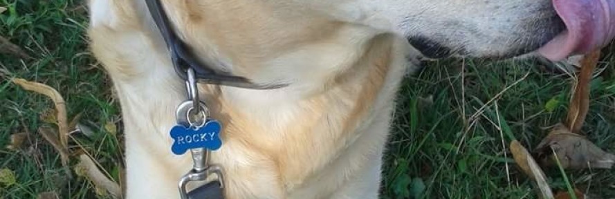 Roberta Santarelli's cover