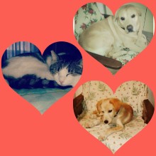 Roberta Santarelli's avatar