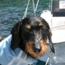 Spillo DAgostino's Avatar
