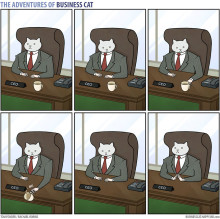 Immagine del profilo di Santa Giuliani