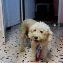 Pepa Cauda's avatar