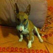 cricri's avatar