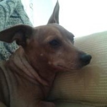 Luna Spessotto's avatar