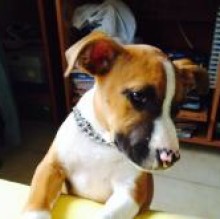 RaStill RaStill's avatar