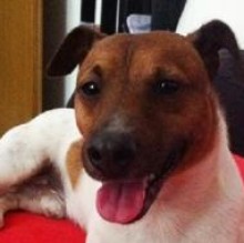 Avatar de Sghizzo
