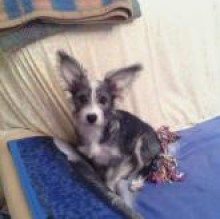 Avatar de BIRBA TOSATTI