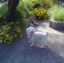 Tobby's avatar