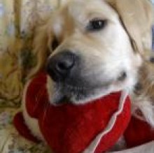 Avatar de BimboMonet