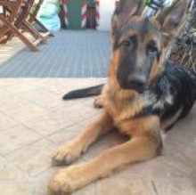 Yako Castelluccia's avatar