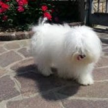 SkyBarbieri's Avatar