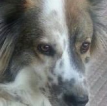 Edolino's Avatar