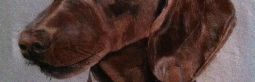 Lapolapo's cover