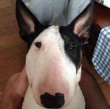 Camyohohoh's avatar
