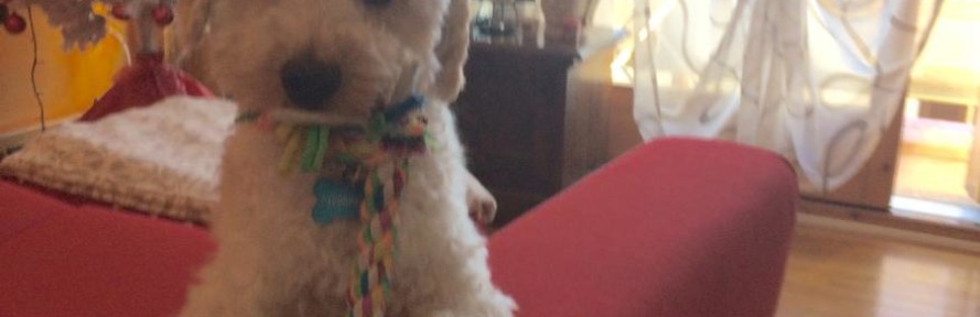 Mokino's cover