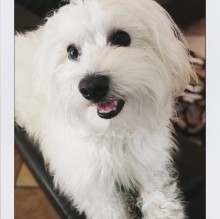 Teddy Ienco 's avatar