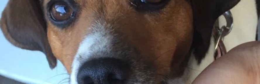 Cover di Mariasole Caruso