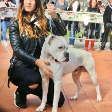 Immagine del profilo di Mariasole Caruso