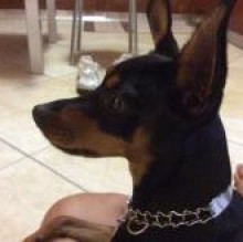 Loletta's Avatar