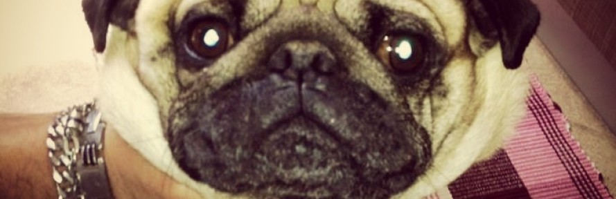 MeddyPrincipe's cover