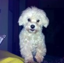 Avatar de Floid Bisaccia
