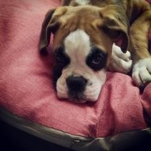 LovelySara's Avatar