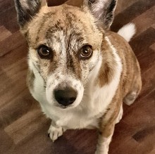 Immagine del profilo di Robi Gas