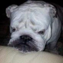 Avatar de Oliver Buganza