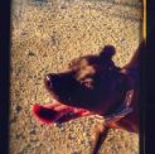 UmaLove's avatar