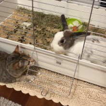 Immagine del profilo di Matteo Daneli