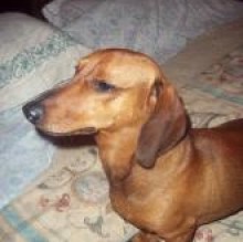 pinpy natali's Avatar