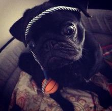 Immagine del profilo di SaskiaMaraia