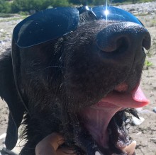 Avatar de Simona Pigozzi