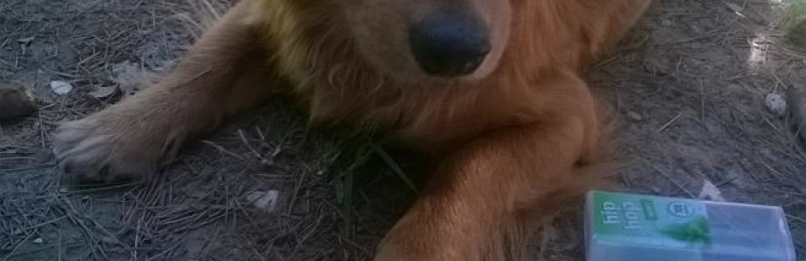Cover di Ares Battiva