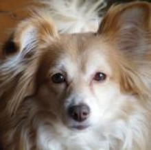 Immagine del profilo di Archy