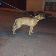 Golia14's avatar