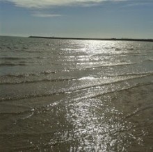 Franca Fabbroni's avatar