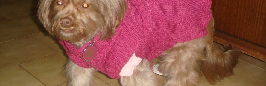FELICE's cover