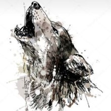 Mariagrazia Valentini's avatar