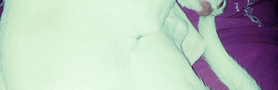 jessica's couverture