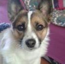 Mia Mia's avatar