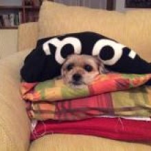 CandyHope's avatar